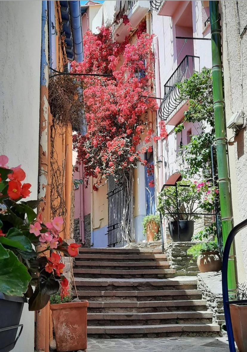 Studio Collioure Mouret Zewnętrze zdjęcie